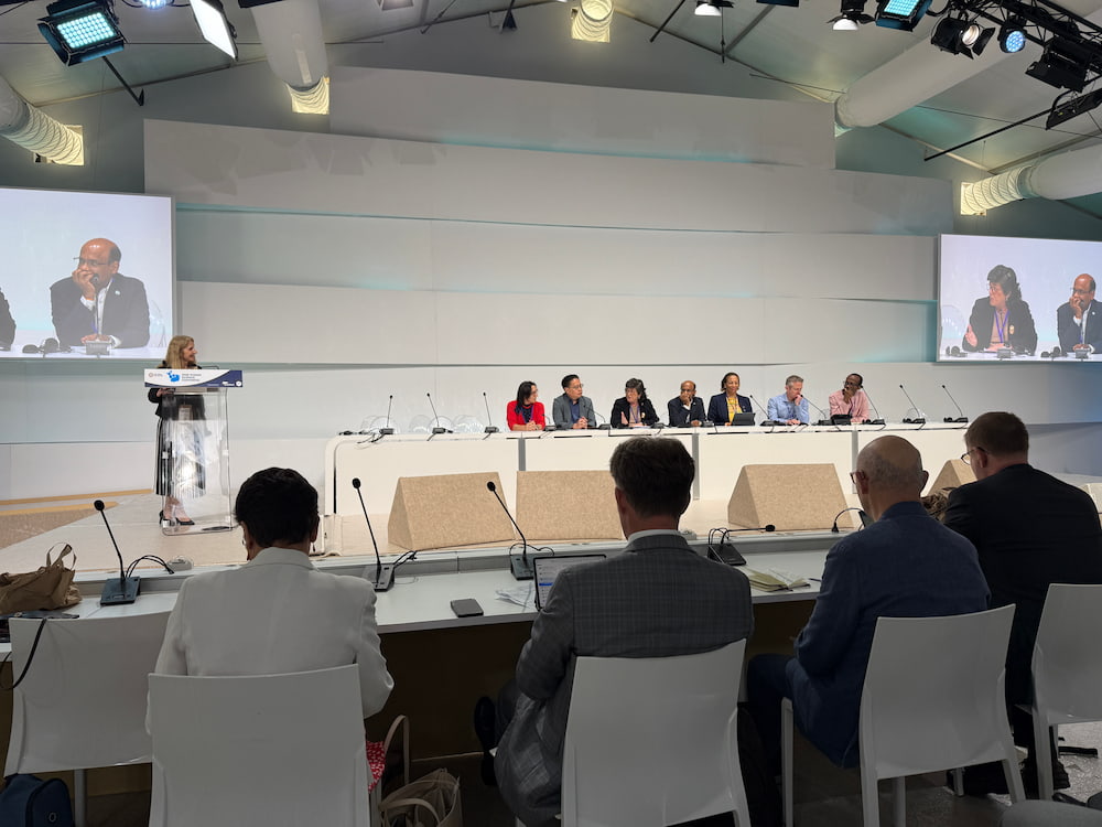 Digital Twin Townhall